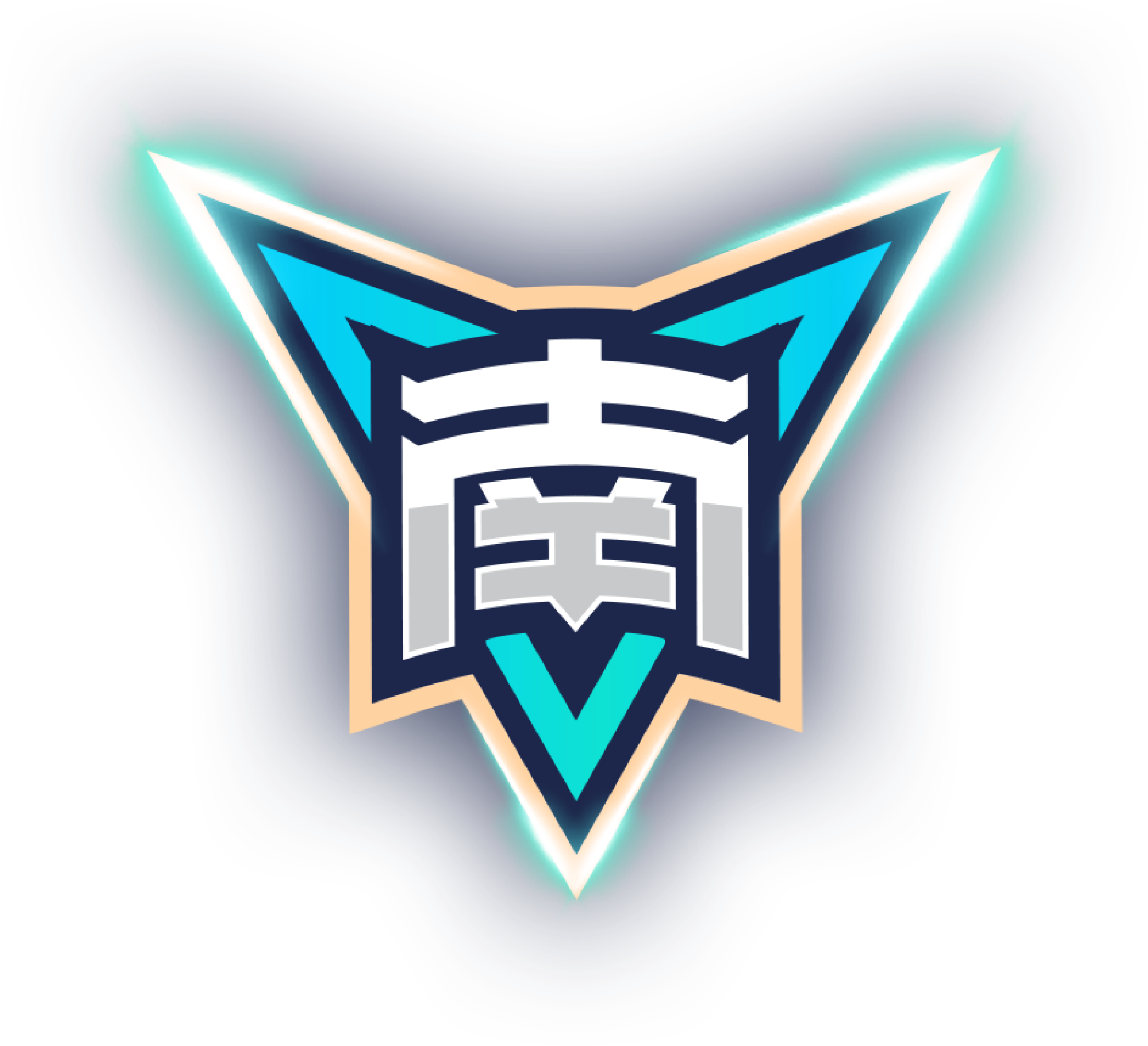 洪卡